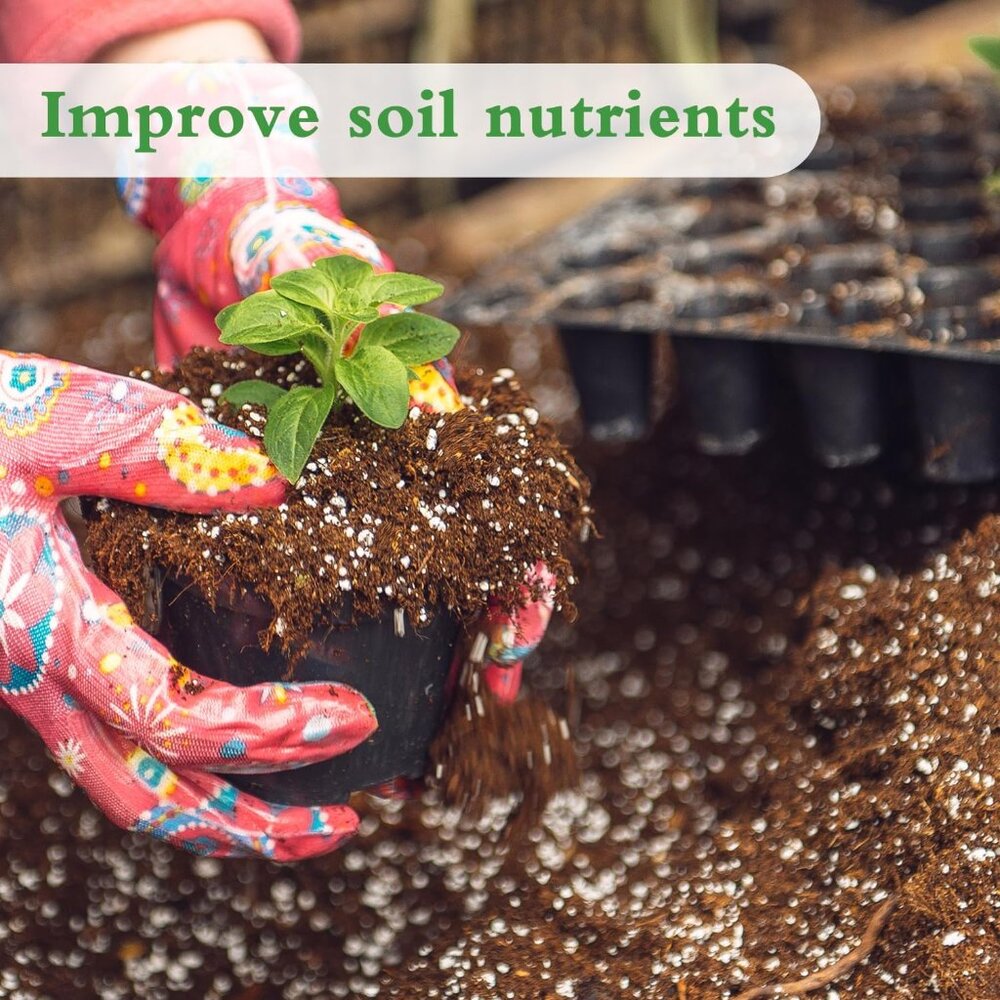 Perlite, 10QT Premium Organic Perlite for Plants, Enhances Soil Drainage - Picture 5 of 6